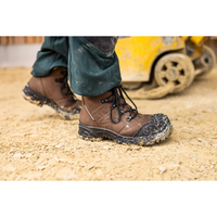 Airpower XR 810 WS 607214 S7 - Bruin