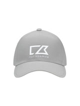 Zilvergrijs