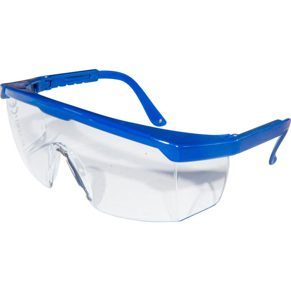 Vision 7000 veiligheidsbril - blauw
